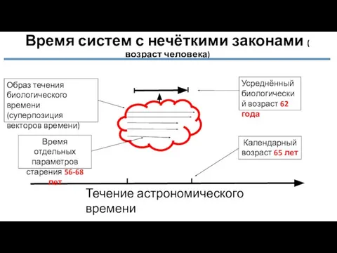 Время систем с нечёткими законами ( возраст человека) Течение астрономического времени Календарный