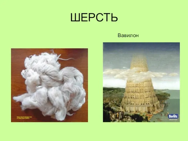 ШЕРСТЬ Вавилон