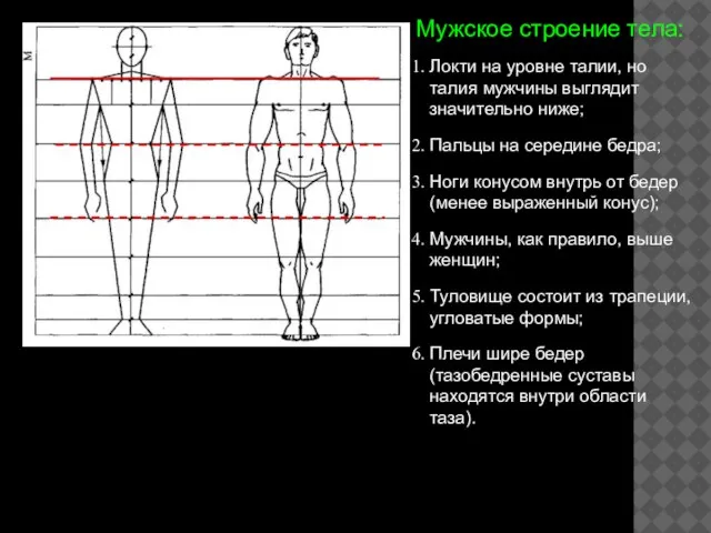 Мужское строение тела: Локти на уровне талии, но талия мужчины выглядит значительно
