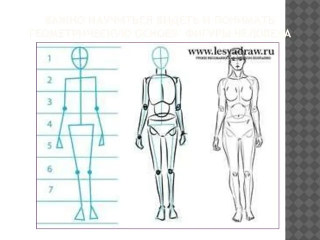 ВАЖНО НАУЧИТЬСЯ ВИДЕТЬ И ПОНИМАТЬ ГЕОМЕТРИЧЕСКУЮ ОСНОВУ ФИГУРЫ ЧЕЛОВЕКА