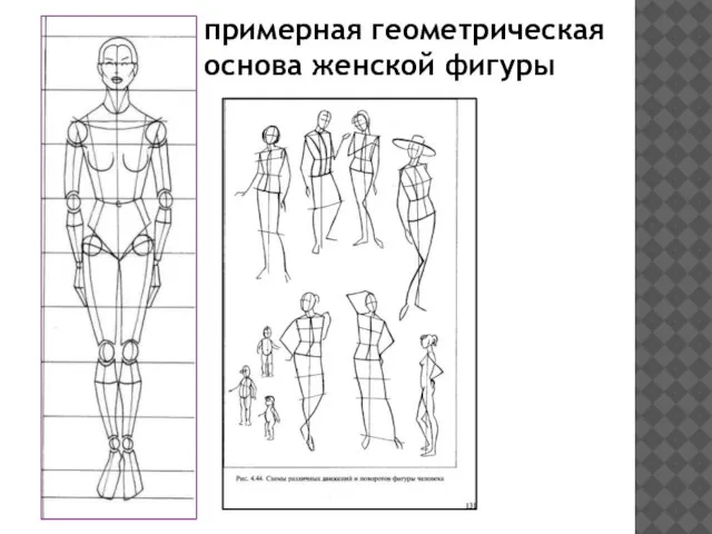 примерная геометрическая основа женской фигуры