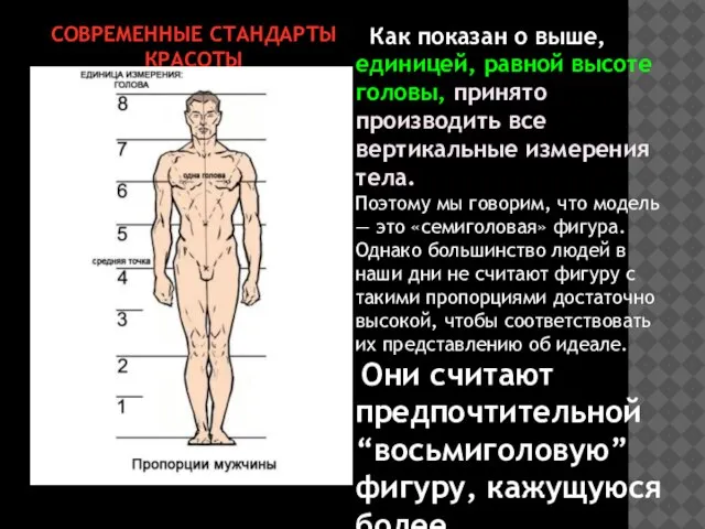 СОВРЕМЕННЫЕ СТАНДАРТЫ КРАСОТЫ Как показан о выше, единицей, равной высоте головы, принято