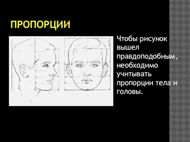 ПРОПОРЦИИ Чтобы рисунок вышел правдоподобным, необходимо учитывать пропорции тела и головы.