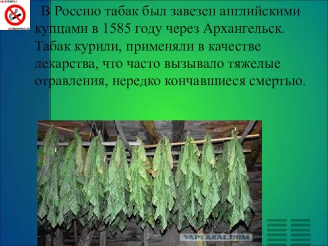 В Россию табак был завезен английскими купцами в 1585 году через Архангельск.