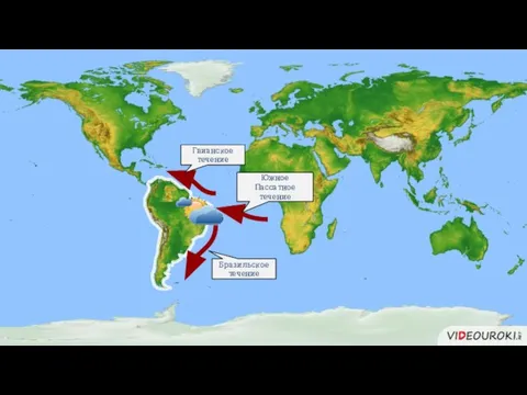 Бразильское течение Гвианское течение Южное Пассатное течение