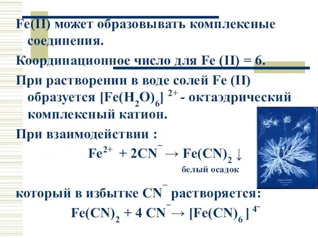Fe(II) может образовывать комплексные соединения. Координационное число для Fe (II) = 6.