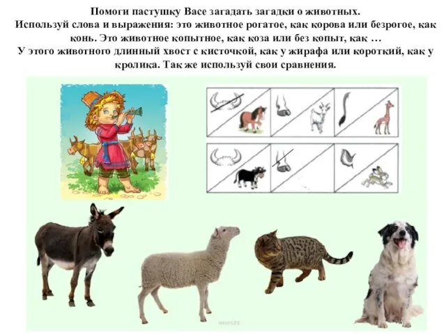 Помоги пастушку Васе загадать загадки о животных. Используй слова и выражения: это