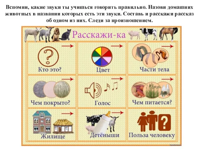 Вспомни, какие звуки ты учишься говорить правильно. Назови домашних животных в названии