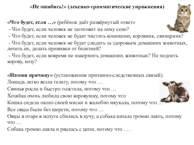 «Не ошибись!» (лексико-грамматические упражнения) «Что будет, если …» (ребёнок даёт развёрнутый ответ»