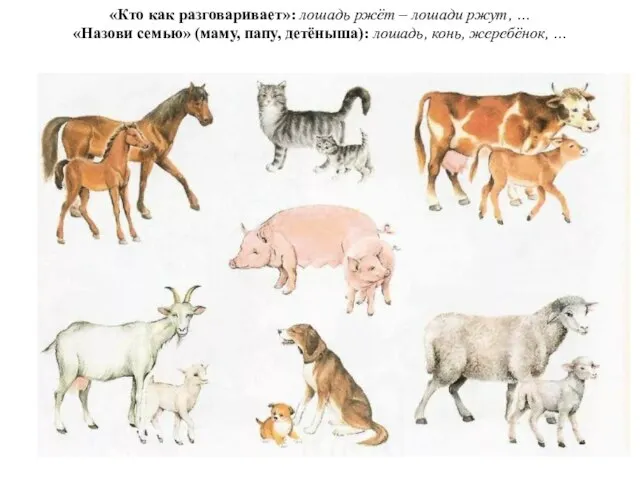 «Кто как разговаривает»: лошадь ржёт – лошади ржут, … «Назови семью» (маму,