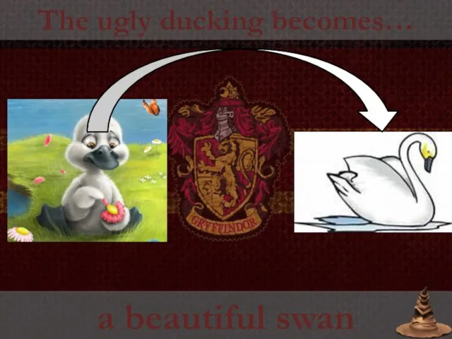 The ugly ducking becomes… a beautiful swan