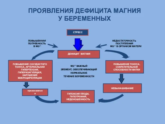 ДЕФИЦИТ МАГНИЯ НЕДОСТАТОЧНОСТЬ ПОСТУПЛЕНИЯ MG++ В ОРГАНИЗМ МАТЕРИ ПОВЫШЕННАЯ ПОТРЕБНОСТЬ В MG++