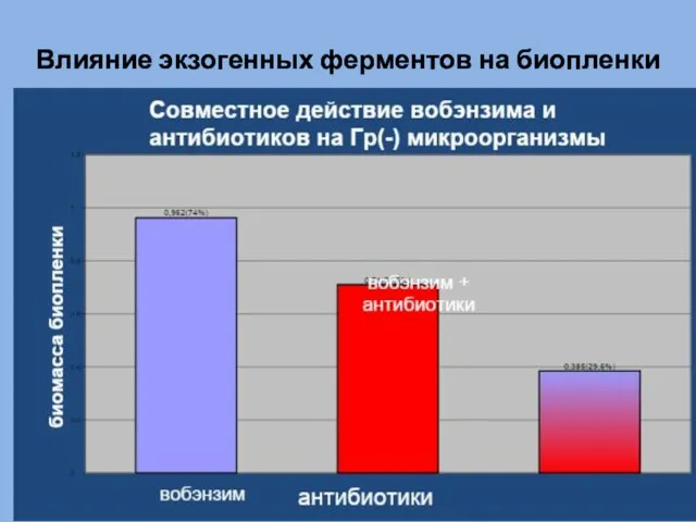 Влияние экзогенных ферментов на биопленки