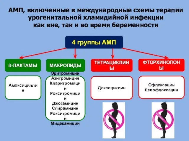 АМП, включенные в международные схемы терапии урогенитальной хламидийной инфекции как вне, так