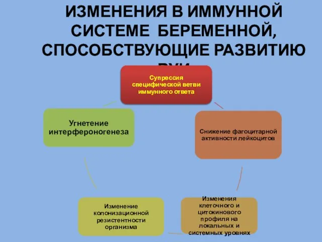 ИЗМЕНЕНИЯ В ИММУННОЙ СИСТЕМЕ БЕРЕМЕННОЙ, СПОСОБСТВУЮЩИЕ РАЗВИТИЮ ВУИ