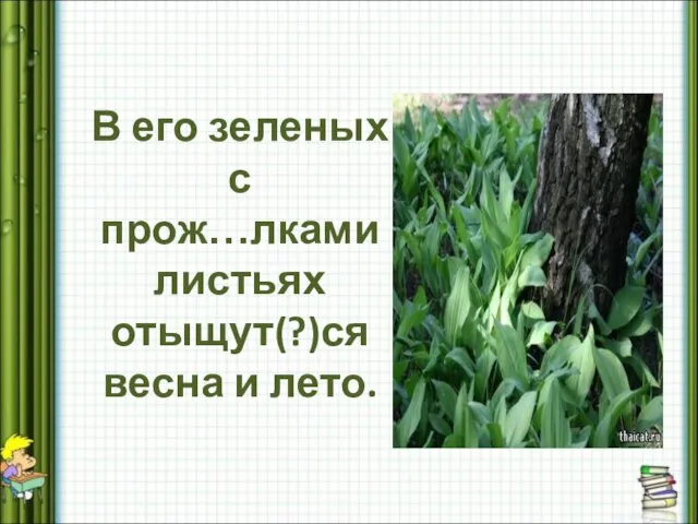 В его зеленых с прож…лками листьях отыщут(?)ся весна и лето.