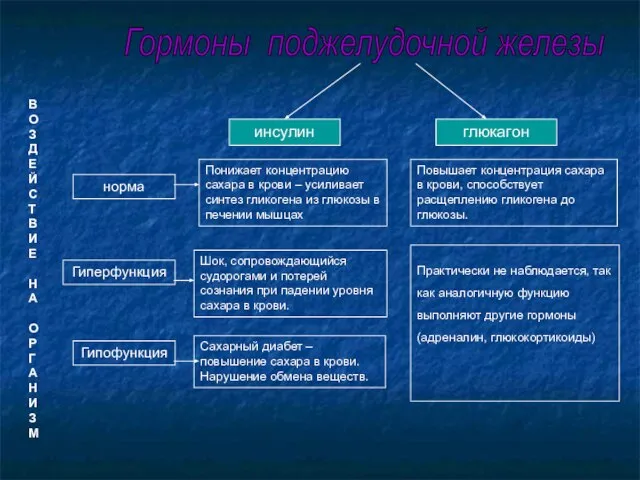 инсулин глюкагон норма Гиперфункция Гипофункция Понижает концентрацию сахара в крови – усиливает