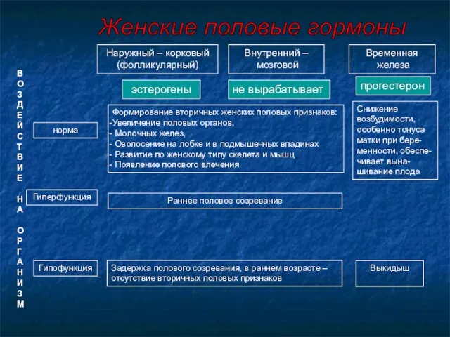 Наружный – корковый (фолликулярный) Внутренний – мозговой Временная железа эстерогены прогестерон не