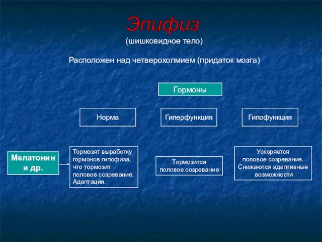(шишковидное тело) Расположен над четверохолмием (придаток мозга) Гормоны Норма Гиперфункция Гипофункция Мелатонин