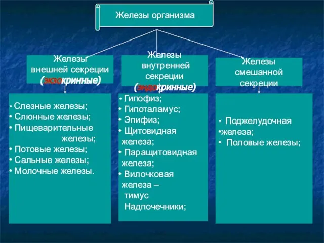 Железы внутренней секреции (эндокринные) Железы смешанной секреции Железы внешней секреции (экзокринные) Слезные