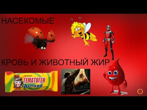 НАСЕКОМЫЕ КРОВЬ И ЖИВОТНЫЙ ЖИР