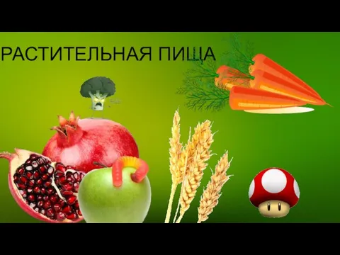 РАСТИТЕЛЬНАЯ ПИЩА