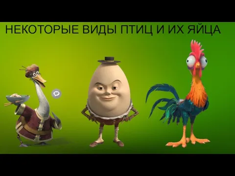 НЕКОТОРЫЕ ВИДЫ ПТИЦ И ИХ ЯЙЦА