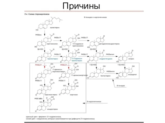 Причины