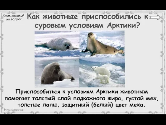 Как животные приспособились к суровым условиям Арктики? Клик мышкой на вопрос Приспособиться