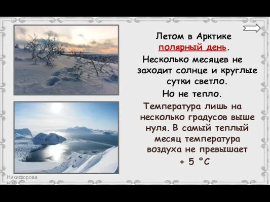 Летом в Арктике полярный день. Несколько месяцев не заходит солнце и круглые