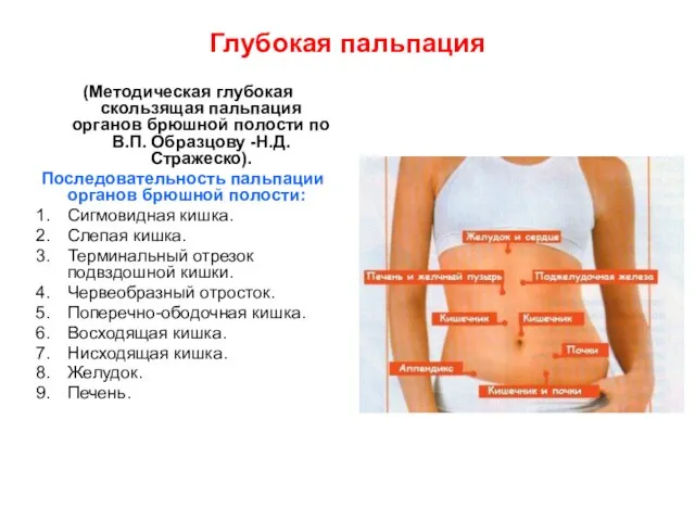 Глубокая пальпация (Методическая глубокая скользящая пальпация органов брюшной полости по В.П. Образцову