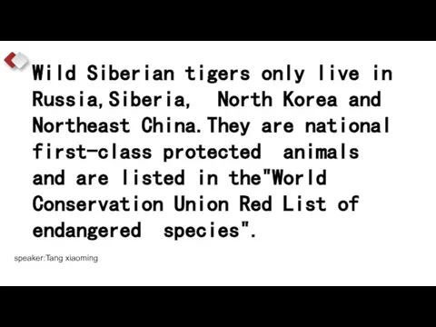 Wild Siberian tigers only live in Russia,Siberia, North Korea and Northeast China.They
