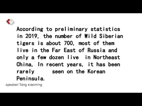 According to preliminary statistics in 2019, the number of Wild Siberian tigers