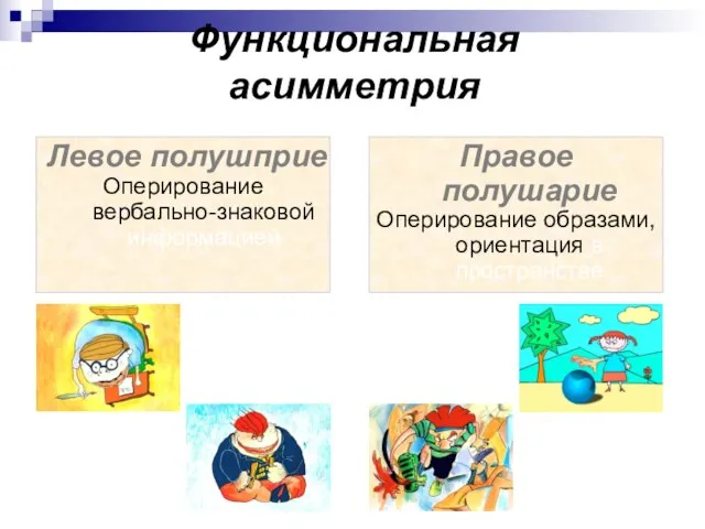 Функциональная асимметрия Левое полушприе Оперирование вербально-знаковой информацией Правое полушарие Оперирование образами, ориентация в пространстве