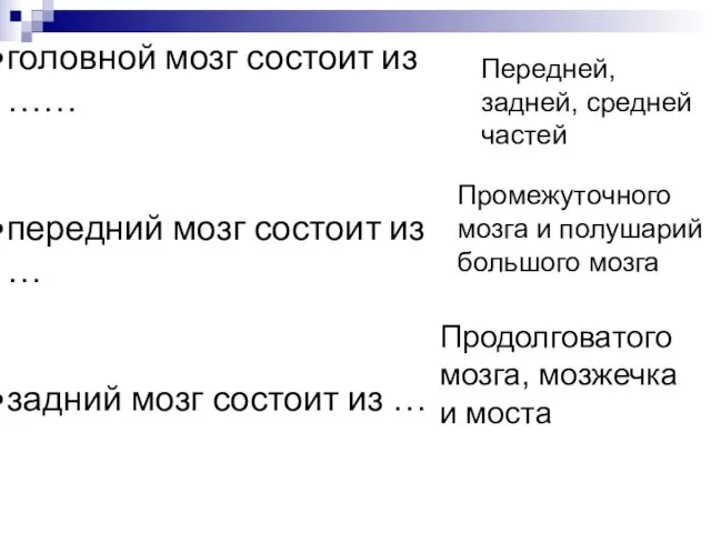 головной мозг состоит из …… передний мозг состоит из … задний мозг