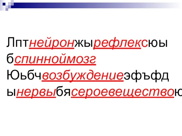 Лптнейронжырефлексюы бспинноймозг Юьбчвозбуждениеэфъфд ынервыбясероевеществою