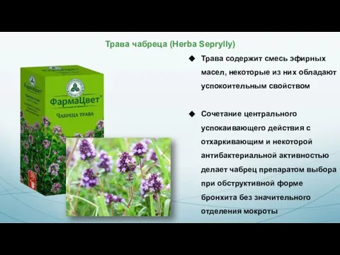 Трава чабреца (Herba Seprylly) Трава содержит смесь эфирных масел, некоторые из них