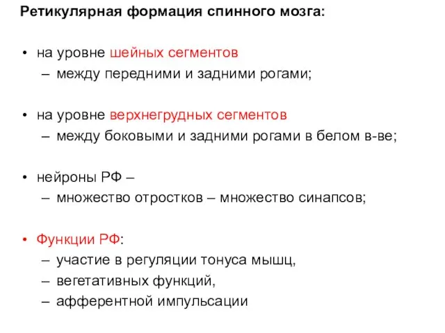 Ретикулярная формация спинного мозга: на уровне шейных сегментов между передними и задними