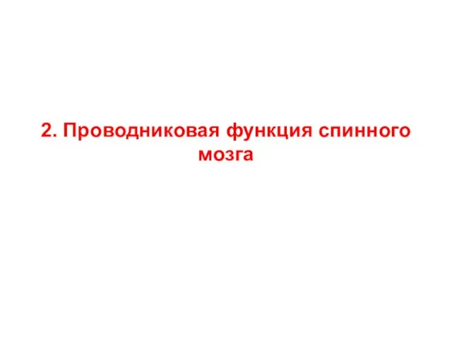 2. Проводниковая функция спинного мозга