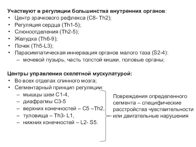 Участвуют в регуляции большинства внутренних органов: Центр зрачкового рефлекса (C8- Th2); Регуляция