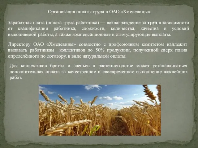 Организация оплаты труда в ОАО «Хмелевицы» Заработная плата (оплата труда работника) —