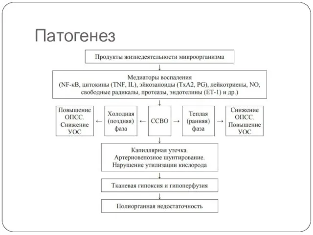 Патогенез