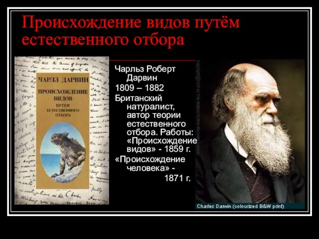 Происхождение видов путём естественного отбора Чарльз Роберт Дарвин 1809 – 1882 Британский