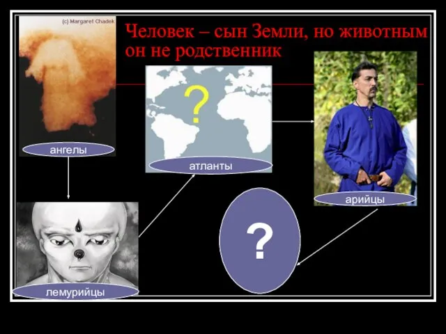 Человек – сын Земли, но животным он не родственник ? ангелы лемурийцы атланты арийцы