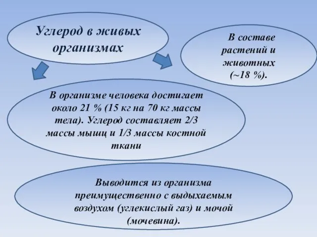 В составе растений и животных (~18 %). В организме человека достигает около