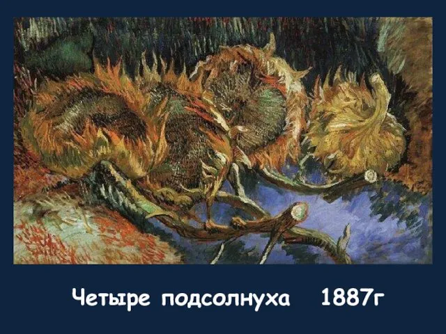 Четыре подсолнуха 1887г