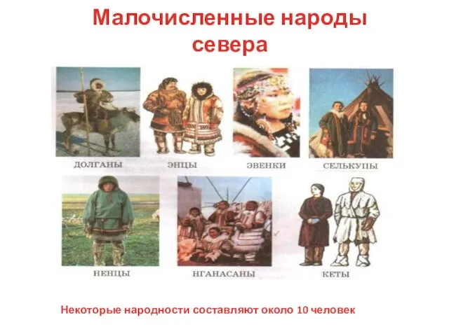 Малочисленные народы севера Некоторые народности составляют около 10 человек