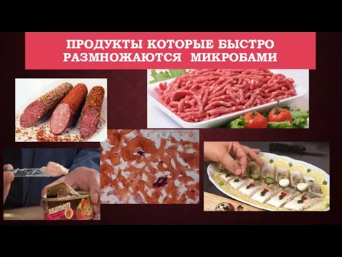 ПРОДУКТЫ КОТОРЫЕ БЫСТРО РАЗМНОЖАЮТСЯ МИКРОБАМИ