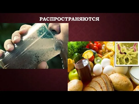 РАСПРОСТРАНЯЮТСЯ