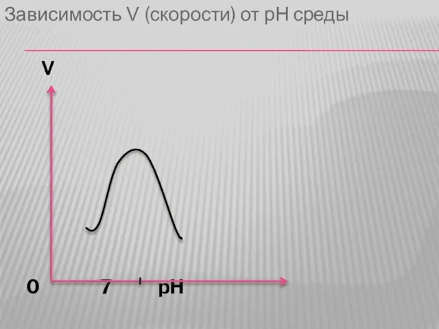 Зависимость V (скорости) от рН среды V 0 7 pH